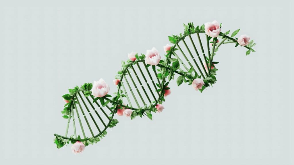 Genetic Biohacking: How DNA Insights Are Transforming Skincare, Ageing & Wellness
